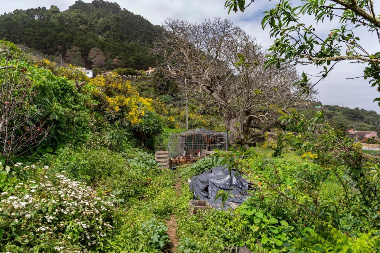 Casa De Cuco Villa Mazo Dış mekan fotoğraf